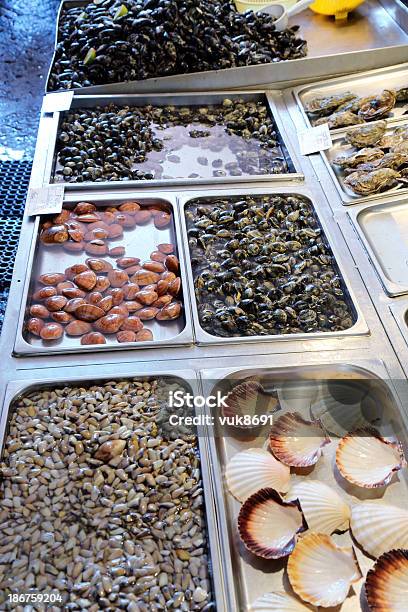 Vários Tipos De Ostra No Mercado De Catânia - Fotografias de stock e mais imagens de Itália - Itália, Mar, Restaurante