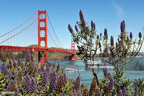 San サンフランシスコ - カリフォルニア州のストックフォトや画像を多数ご用意 - カリフォルニア州, ゴールデンゲートブリッジ, 世界的な名所