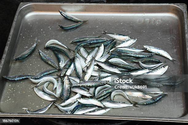 Frescos Sardinhas No Mercado De Catânia - Fotografias de stock e mais imagens de Alimentação Saudável - Alimentação Saudável, Alimento Básico, Amontoar