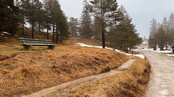 Bench on a brown meadow in winter