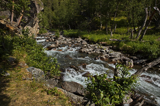 Lulleelva river on Lulledalen forest path in Troms og Finnmark county, Norway, Europe