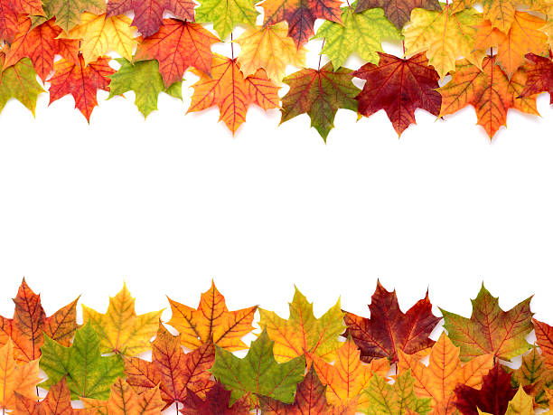 istock Autumn frame with colorful maple leaves and copy space 186760551