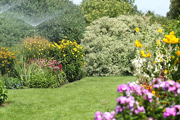 sprinkler dar em um jardim florido - giesen - fotografias e filmes do acervo
