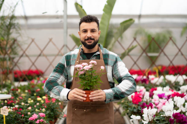 istock bearded gardener works in greenhouse 1867610155