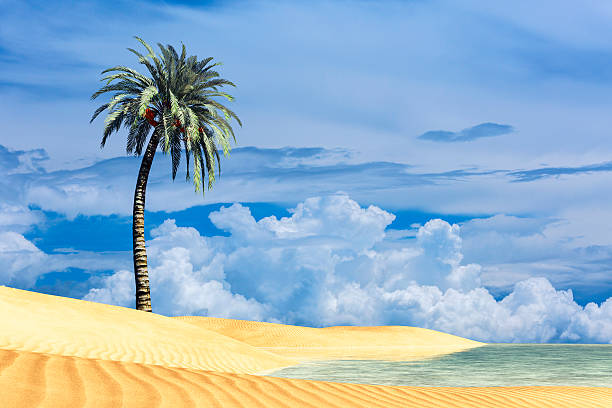 istock Idyllic sand beach on tropical island with palm tree 186762327