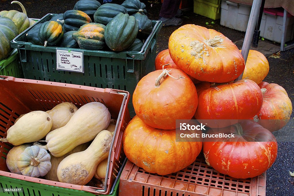 Invierno de squash - Foto de stock de Calabacita libre de derechos