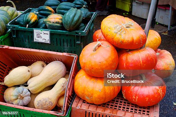 Invierno De Squash Foto de stock y más banco de imágenes de Calabacita - Calabacita, Calabaza bellota, Calabaza de invierno