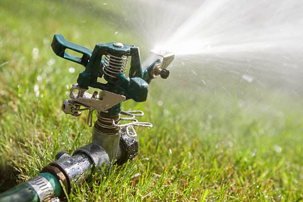 istock Close-up of lawn sprinkler 186763599