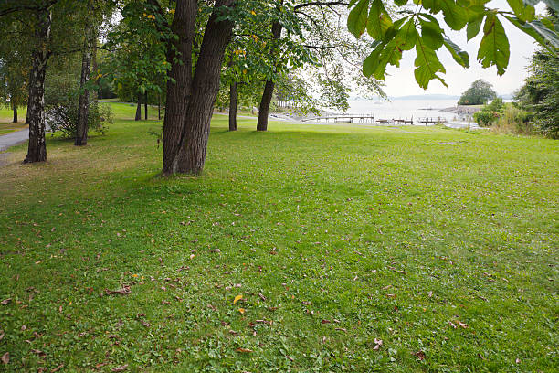istock Green park  with large old decideous trees and shaded areas. 186763946