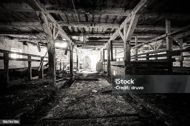 Abandonado Farm - Fotografias de stock e mais imagens de Celeiro - Celeiro, Interior, Interior de Casa