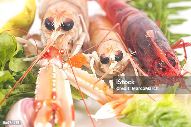 Camarones Foto de stock y más banco de imágenes de Alimento - Alimento, Camarón - Marisco, Cigalas - Pescado y mariscos