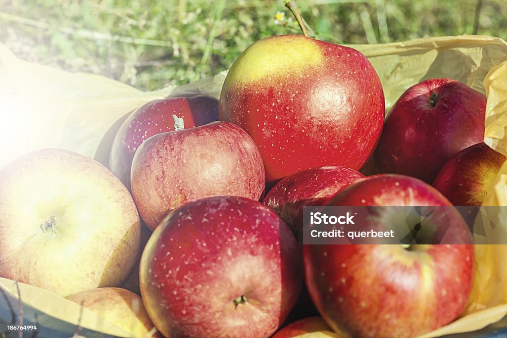 레드 사과들 - 로열티 프리 건강한 식생활 스톡 사진