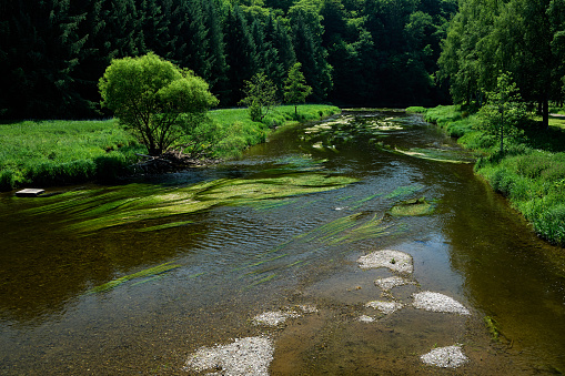 Log Home overlooks tranquil stream