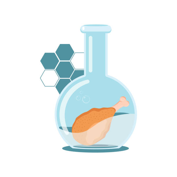 Lab Meat/chicken 30+ Lab Grown Chicken Stock Photos, Pictures & Royalty-Free Images - iStock
