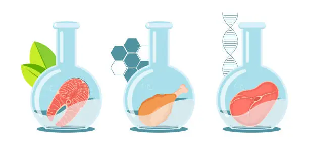 Vector illustration of Set of laboratory grown meat of salmon, beef and chicken leg. Raw meat slices floating in the laboratory flasks. Icons to cultured meat.