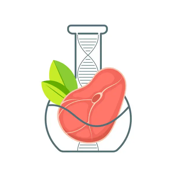 Vector illustration of Fresh laboratory grown meat of beef or pork floating in laboratory flask.