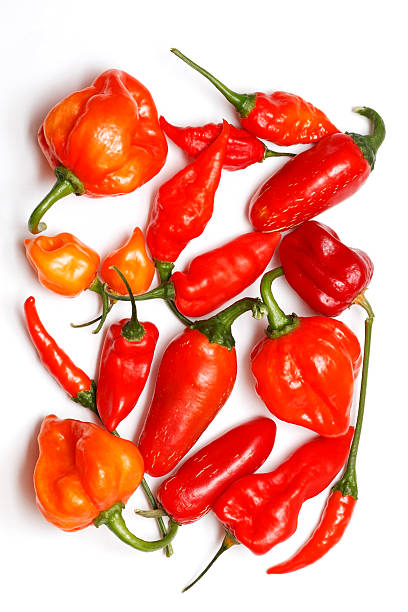 Collection of different fresh chilies stock photo