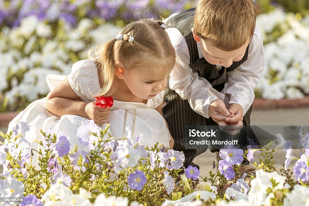 Neugierige kids - Lizenzfrei 2-3 Jahre Stock-Foto