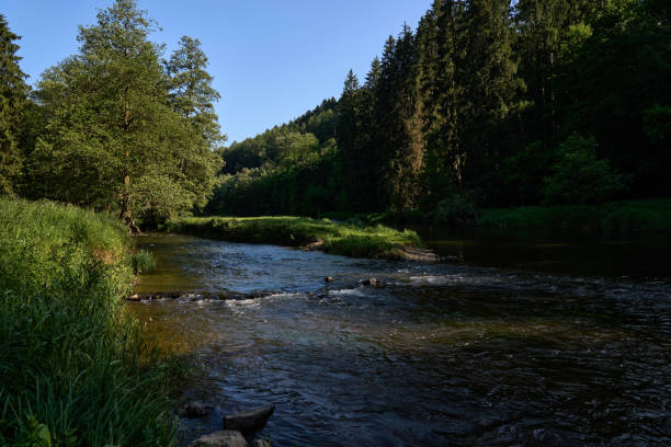 istock the Semois the three trout fishing waters 1867685548