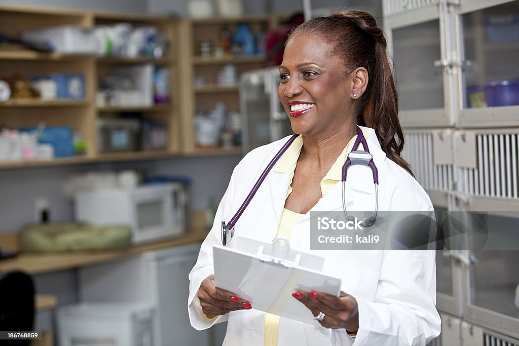 Female veterinarian Mixed race mature woman (40s, Hispanic/African American) working in veterinary clinic. Females Stock Photo