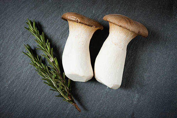 Mushrooms and Rosemary stock photo