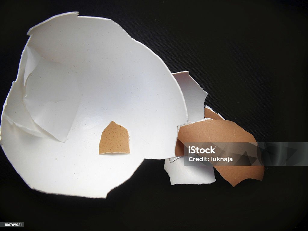 Single Egg Shell Closeup Of Egg Shells On Black Background Stock Photo - Download Image ...