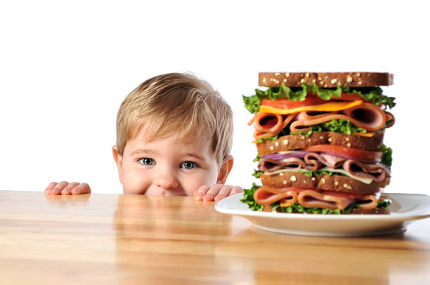 Young Boy with Triple Decker Dagwood Sandwich Horizontal image of an adorable 3 year old boy looking over the edge of the kitchen table with a very large sandwich sitting on a plate. Focus is on the child. The sandwich is layered with deli meats, cheeses, purple onion, tomato and lettuce on whole wheat bread. dagwood stock pictures, royalty-free photos & images