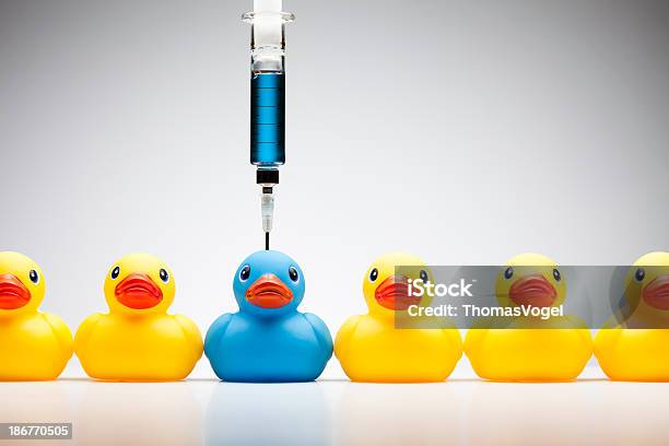 Stand Out From The Crowd Rubber Duck Color Individuality Stock Photo - Download Image Now