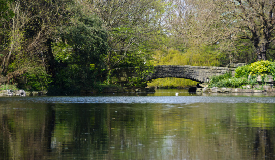 St. Stephen's Green in central Dublin