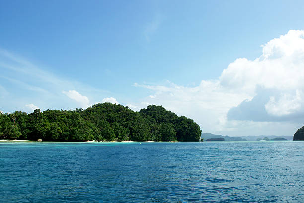 istock Palau's island and sea 186773056