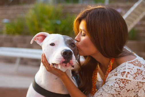 Attractive young hispanic woman kissing her pit bull terrier. Natural light.