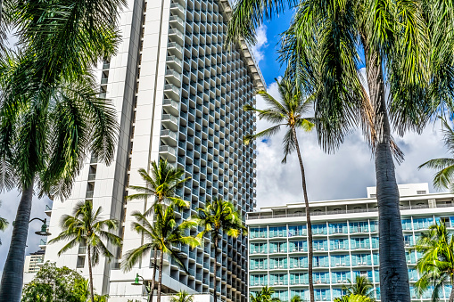 Colorful White Hotels Buildings Green Palm Trees Waikiki Honolulu Oahu Hawaii