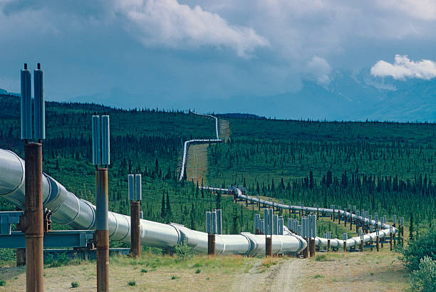 trans-alaska pipeline dell'olio - north slope foto e immagini stock