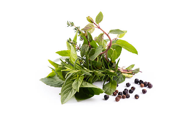 ハーブ - rosemary herb freshness twig ストックフォトと画��像