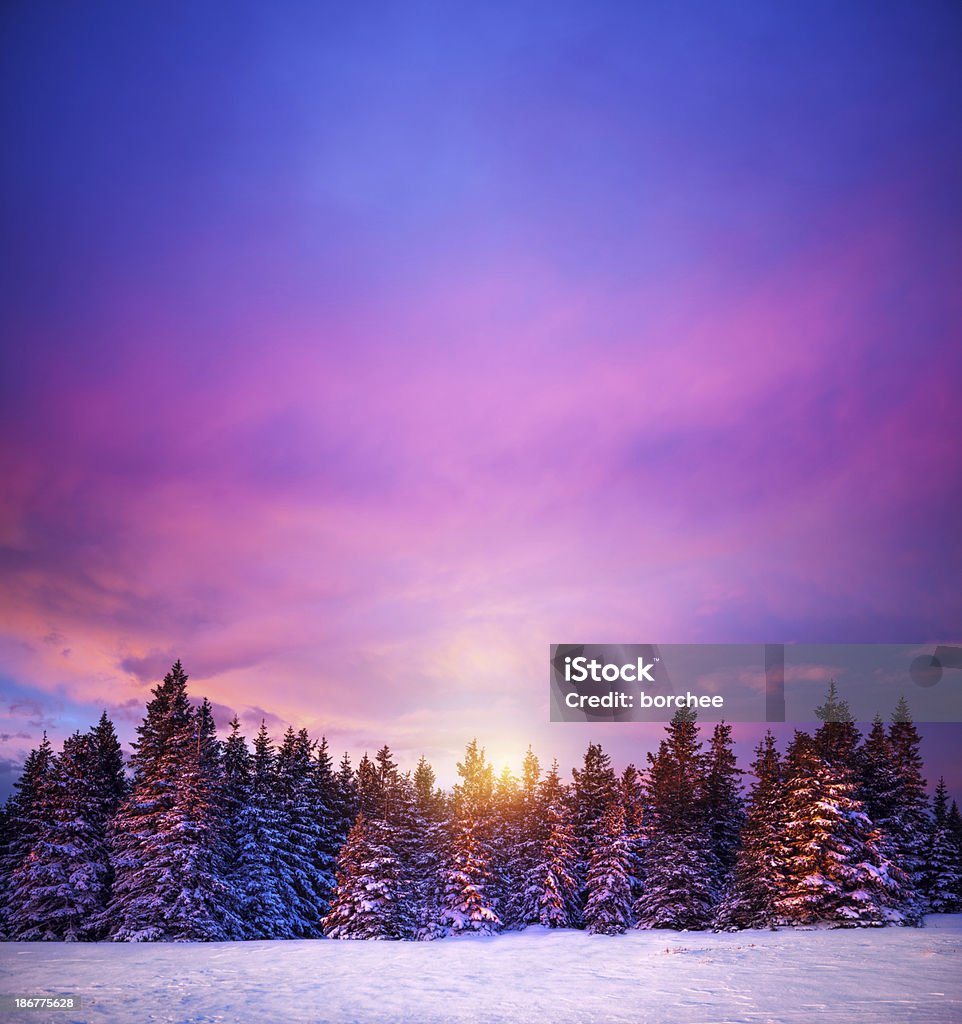 Winter Sonnenuntergang - Lizenzfrei Winter Stock-Foto