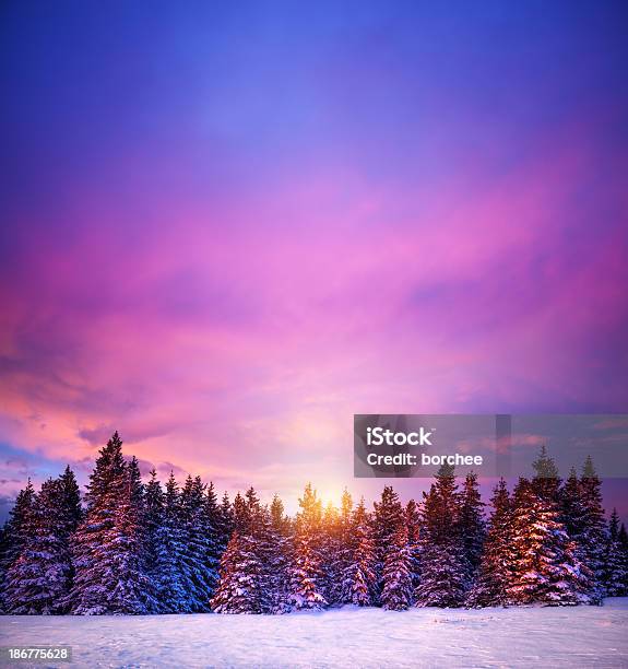 Winter Sunset Stock Photo - Download Image Now - Winter, Sunset, Purple