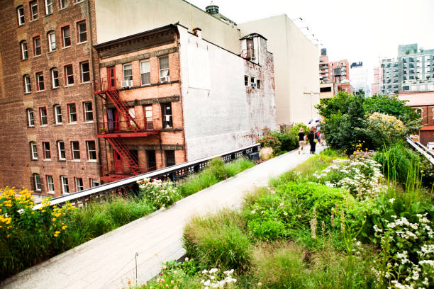istock The High Line Park New York 186776593