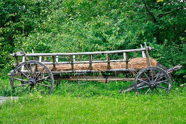 19th Century Style wood horse cart at farm