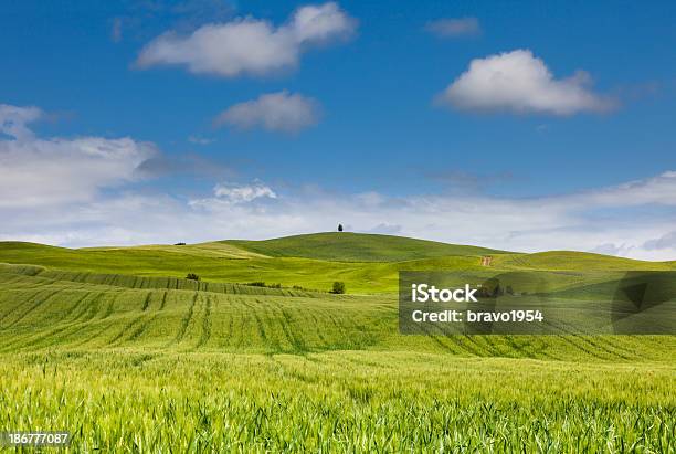 Foto de Toscana e mais fotos de stock de Agricultura - Agricultura, Azul, Beleza natural - Natureza