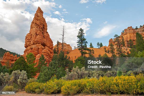 Red Canyon Formazioni Rocciose Dello Utah Stati Uniti - Fotografie stock e altre immagini di Albero