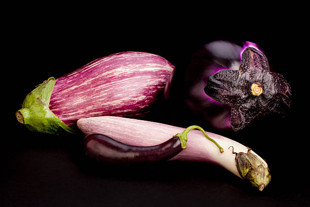quatro eggplants em preto - varigated - fotografias e filmes do acervo