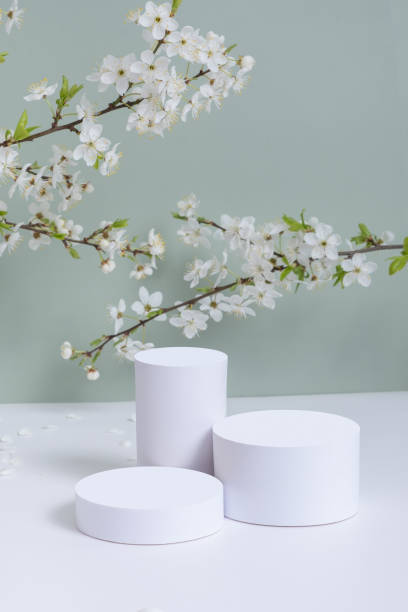 istock Empty podiums or pedestals with spring bloom. Spring mock up for cosmetic products 1867794447