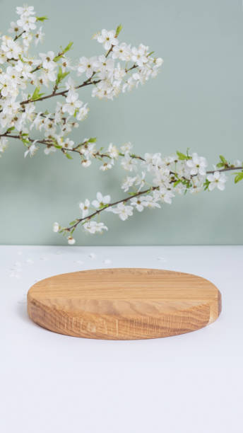 istock Empty wooden podium or pedestal with spring bloom. Spring mock up for cosmetic products 1867794449