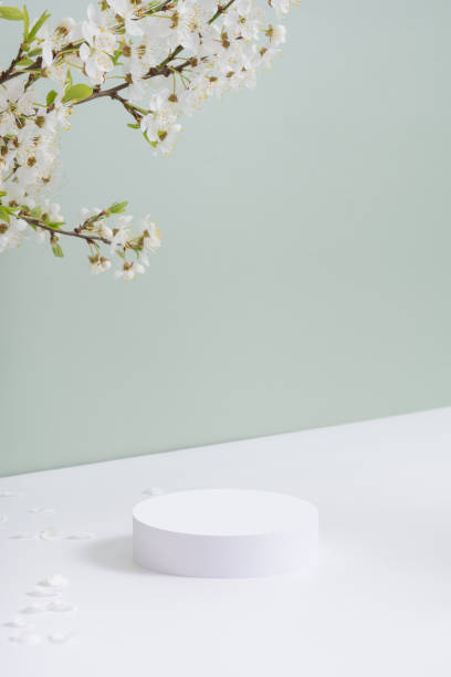 istock Empty podium or pedestal with spring bloom. Spring mock up for cosmetic products 1867794963