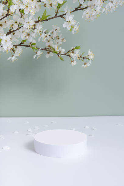 istock Empty podium or pedestal with spring bloom. Spring mock up for cosmetic products 1867794964