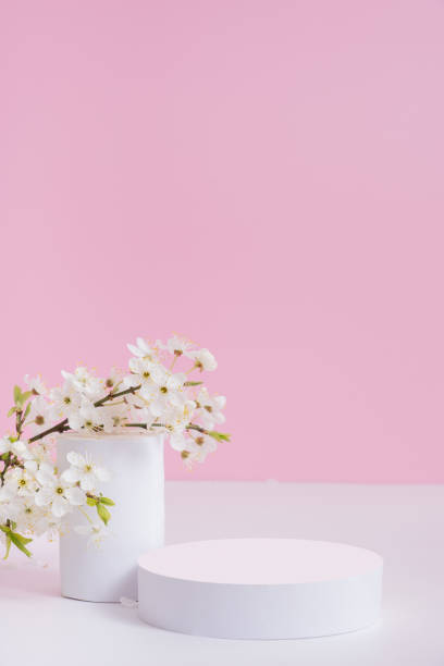 Empty podium or pedestal with spring bloom. Spring mock up for cosmetic products