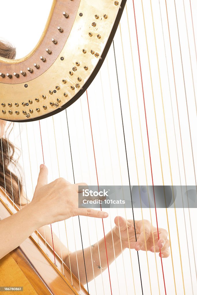 harp classical musical instrument harp on a white background Adult Stock Photo
