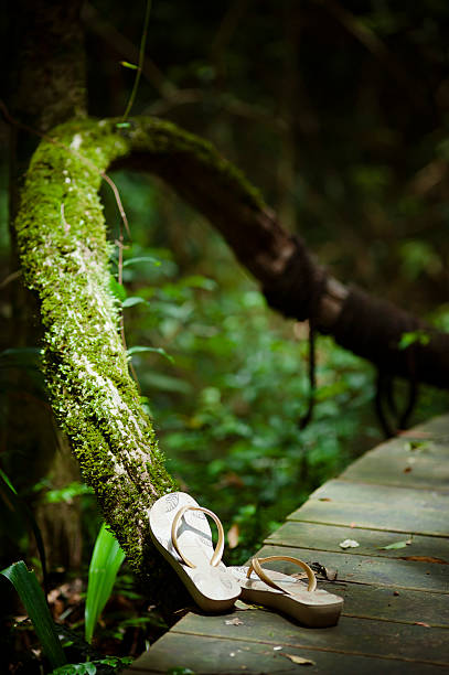 Flip-flops Near Mossy Wood Pair of flip-flops on wooden footbridge near mossy wood. fz009 stock pictures, royalty-free photos & images