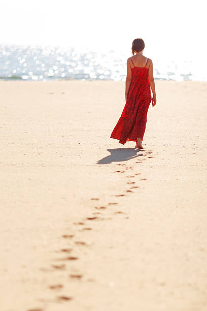 frau am strand - point reyes national seashore northern california beach california stock-fotos und bilder