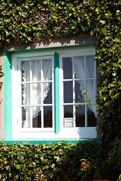 istock Holiday cottage to let sign in window 186781649